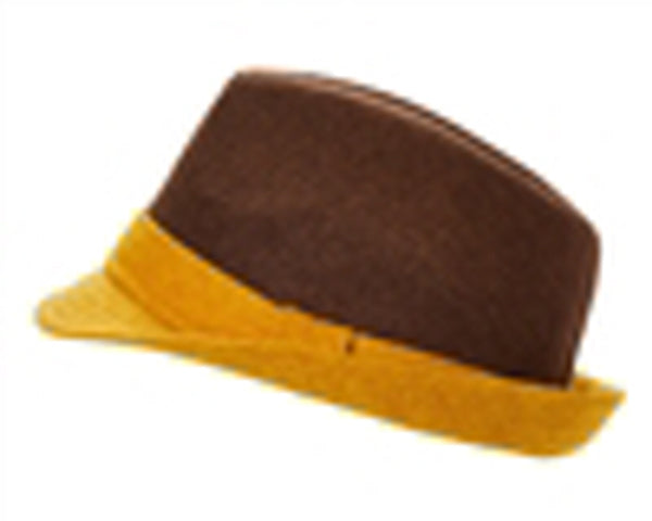 A186-COLORBLOCK WOOL BLEND FEDORA